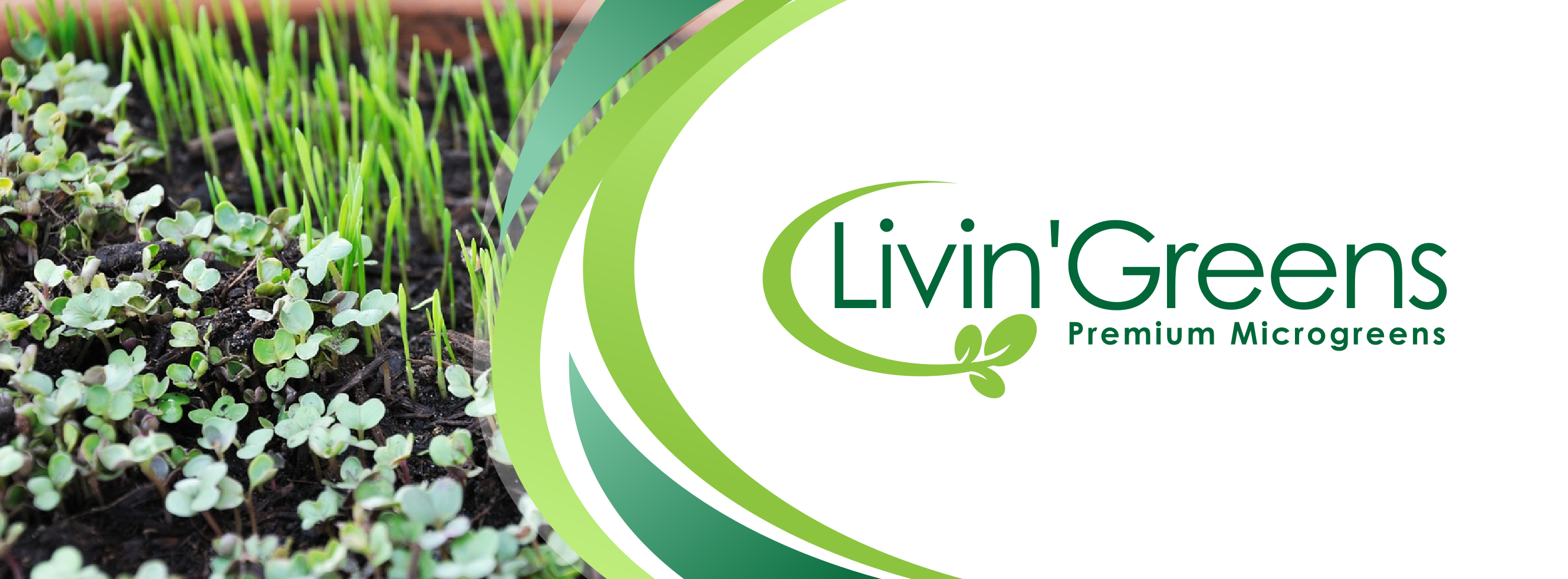 Livin’ Greens header image